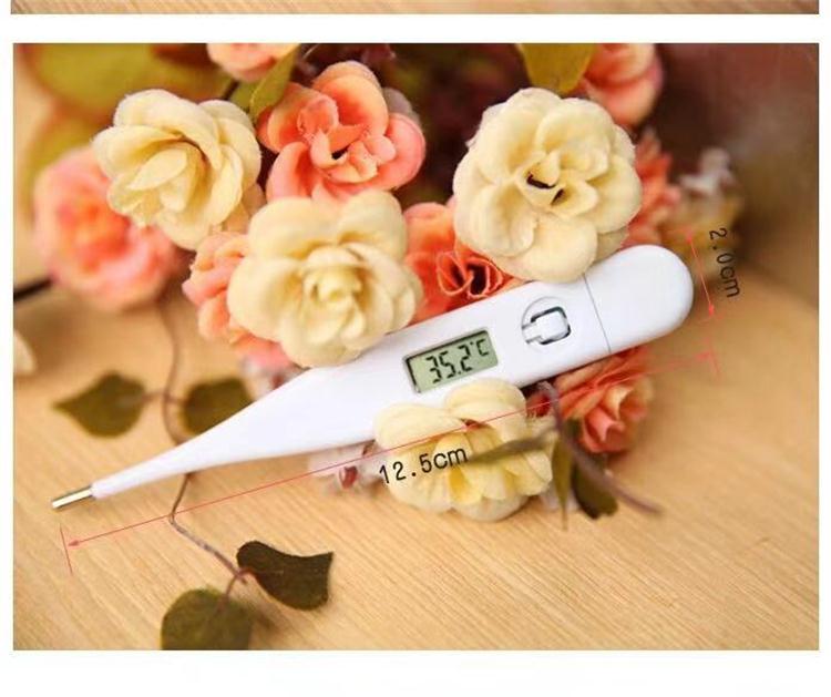 Electronic thermometer